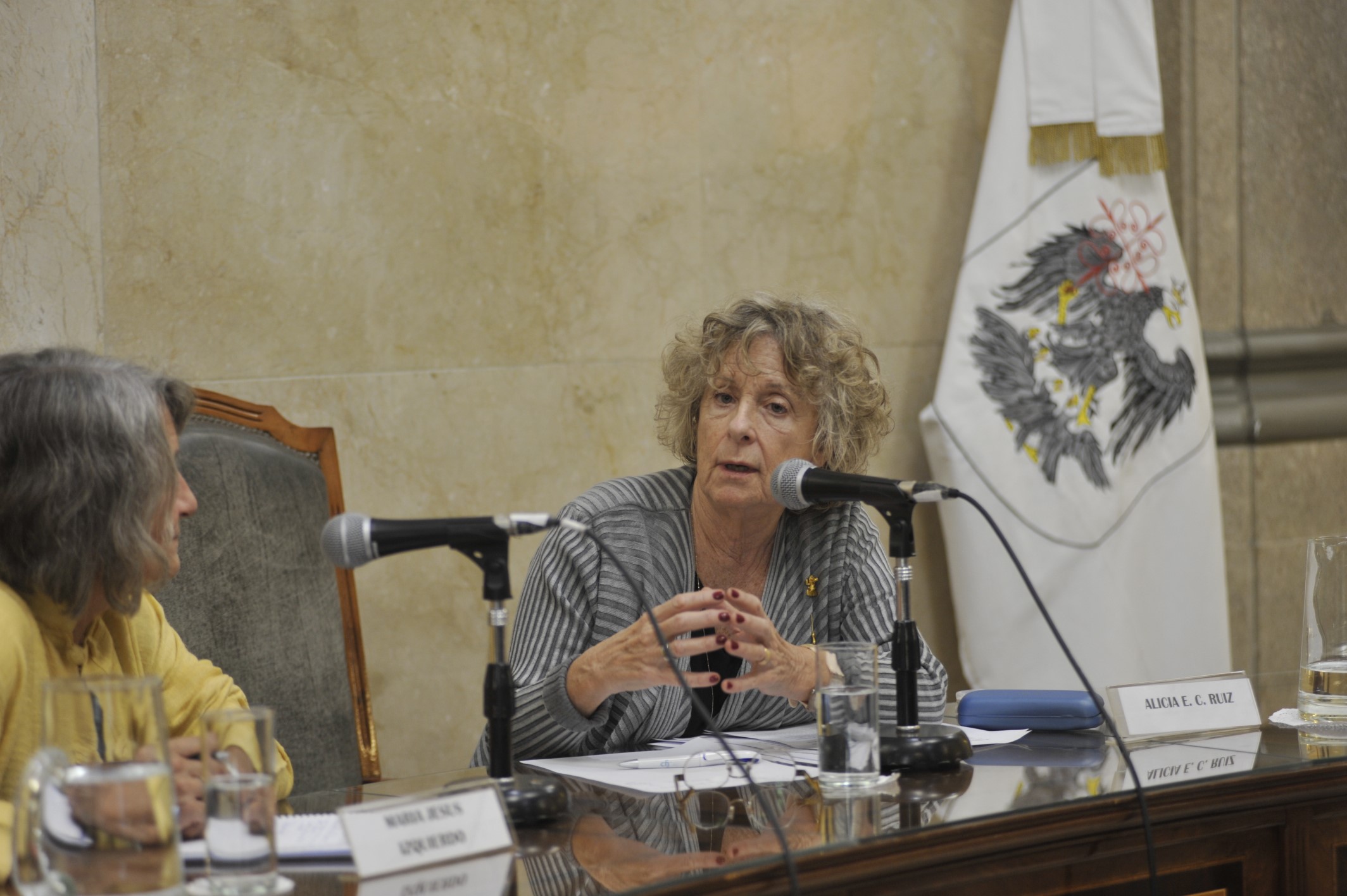 La Jueza del Tribunal Superior Alicia E. C. Ruiz